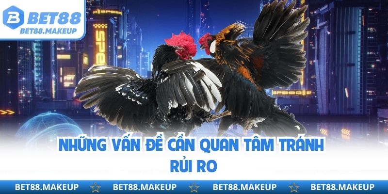 Những vấn đề cần quan tâm tránh rủi ro